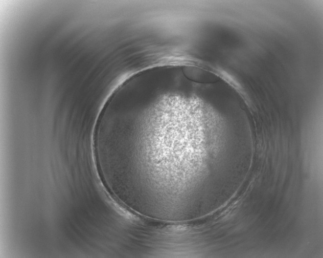 X0000066011283200603101547