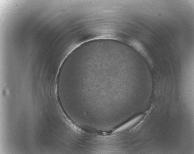 X0000066011284200603101547