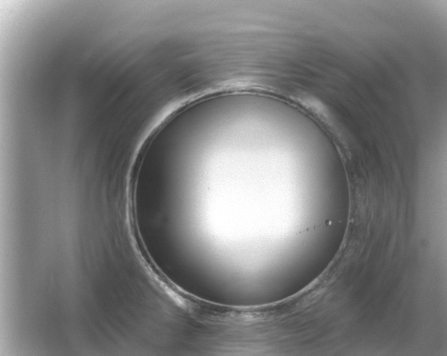 X0000066011286200603101547