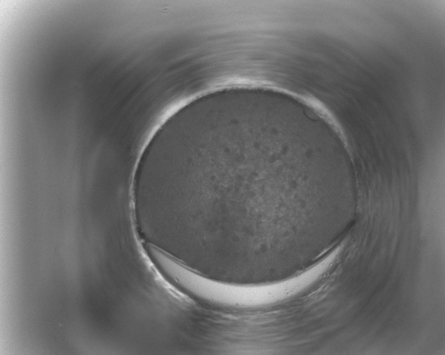 X0000066011287200603101547