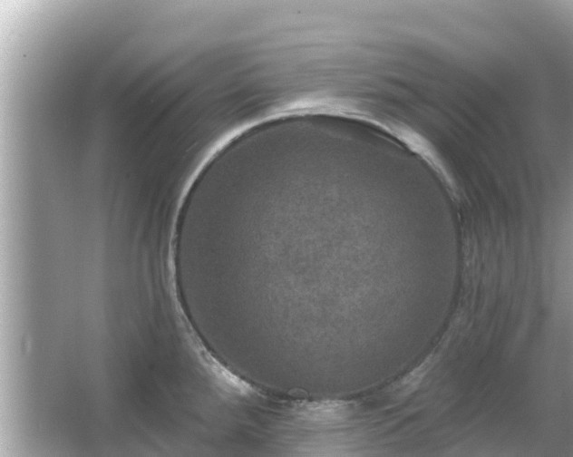 X0000066011288200603101547