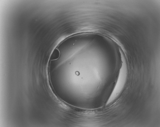 X0000066011291200603101547