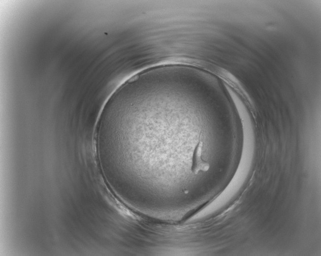 X0000066011292200603101547