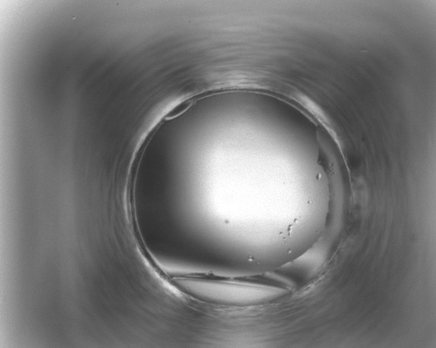 X0000066011293200603101547