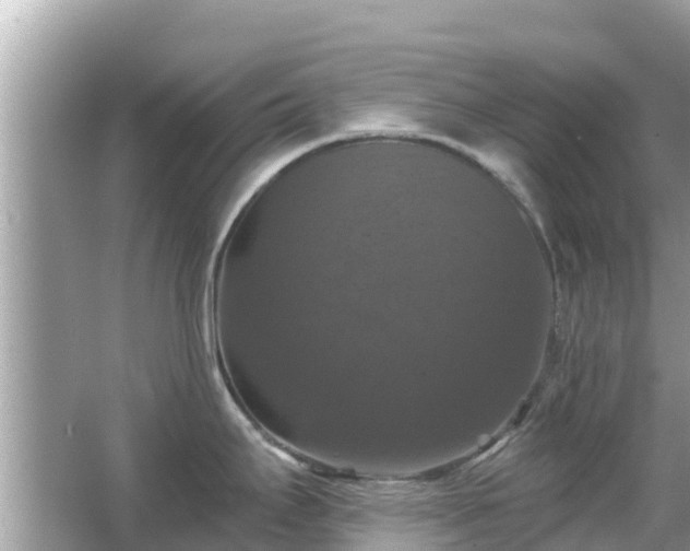 X0000066011295200603101547