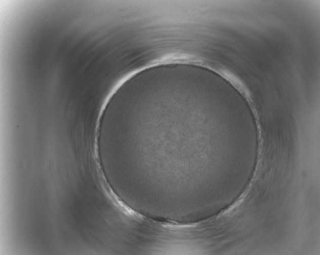 X0000066011296200603101547