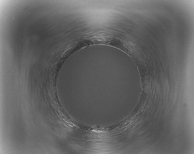 X0000066011297200603101546