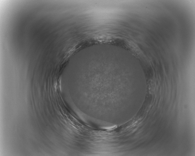 X0000066011298200603101546