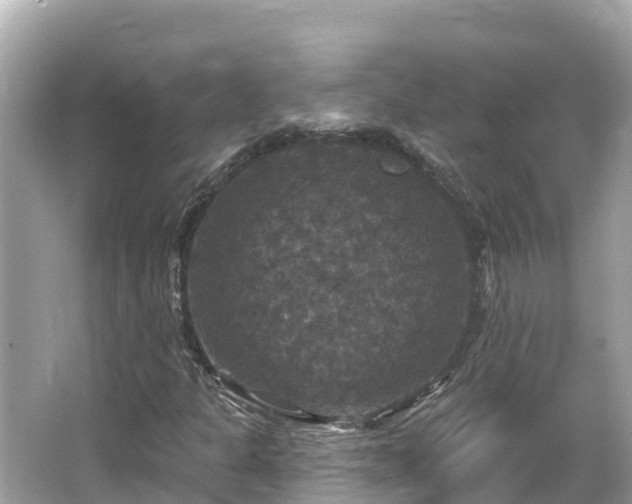 X0000066011301200603101546