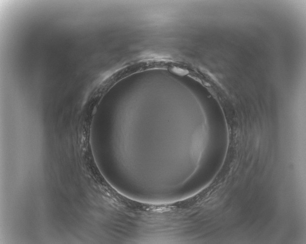 X0000066011303200603101546