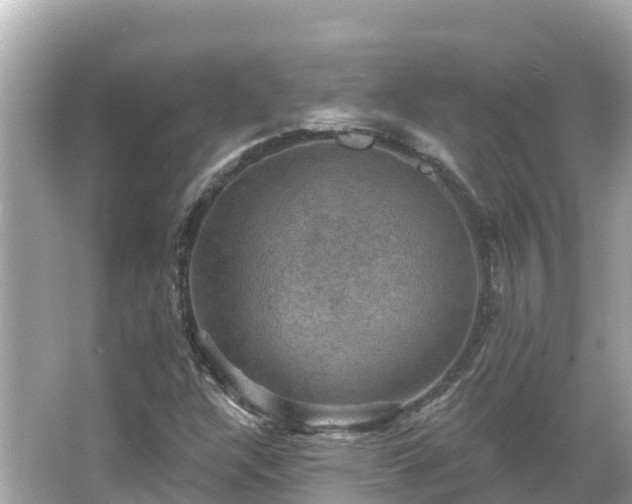 X0000066011304200603101546