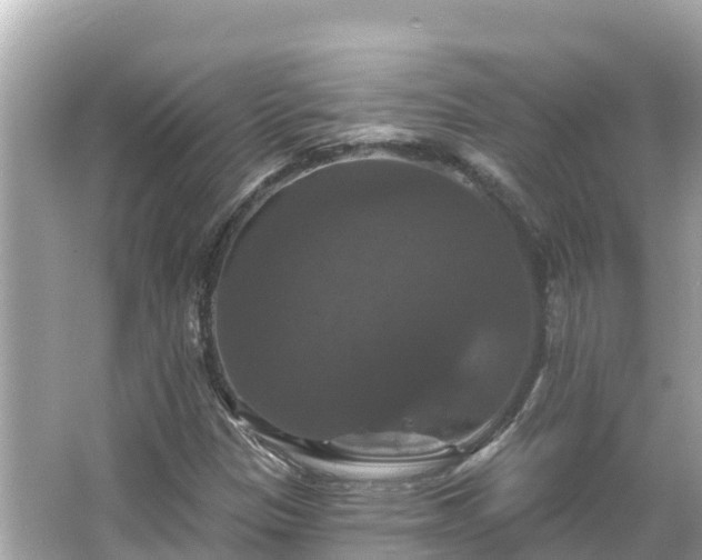 X0000066011305200603101546