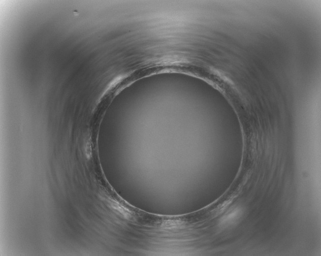 X0000066011306200603101546