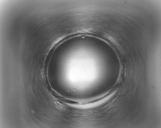 X0000066011308200603101546