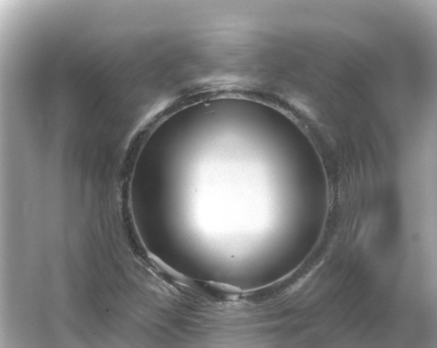 X0000066011309200603101546