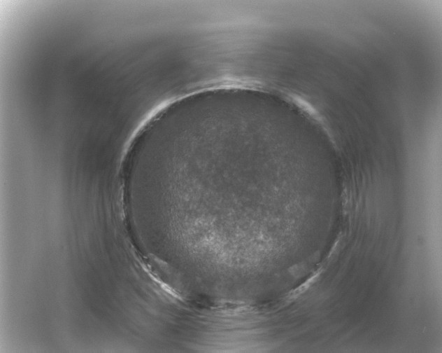 X0000066011310200603101546