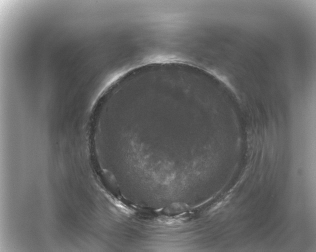 X0000066011311200603101546