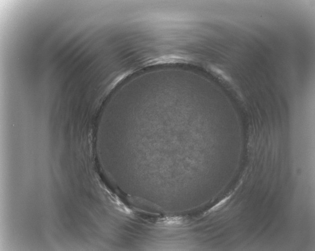 X0000066011313200603101546