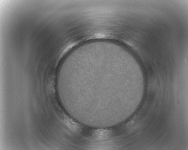 X0000066011314200603101546