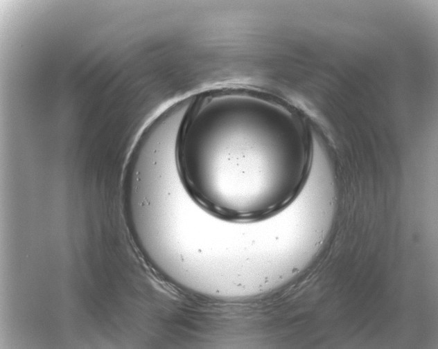 X0000066011316200603101546