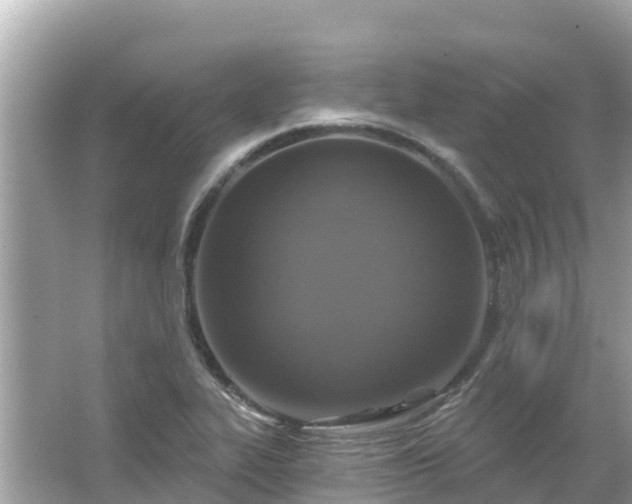 X0000066011319200603101546