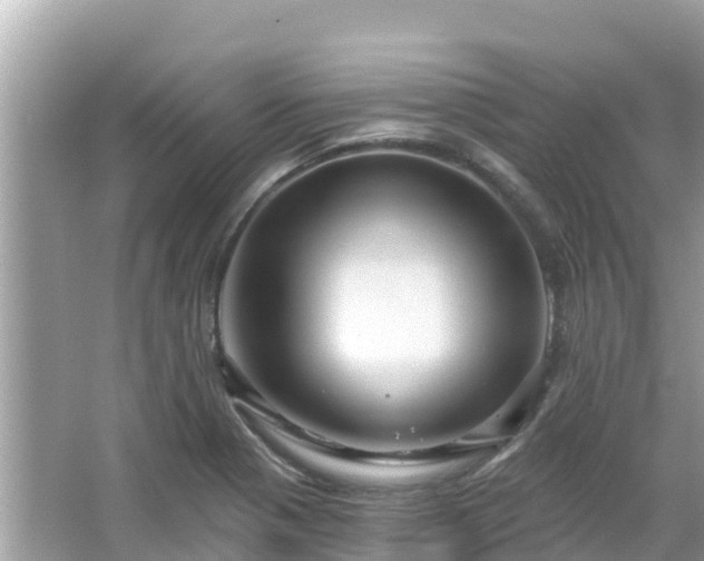 X0000066011321200603101546