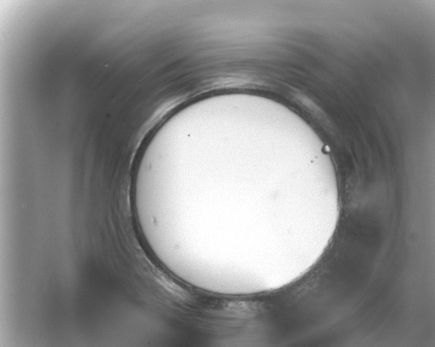 X0000066011322200603101546