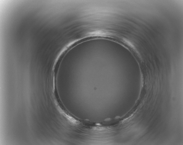 X0000066011323200603101546