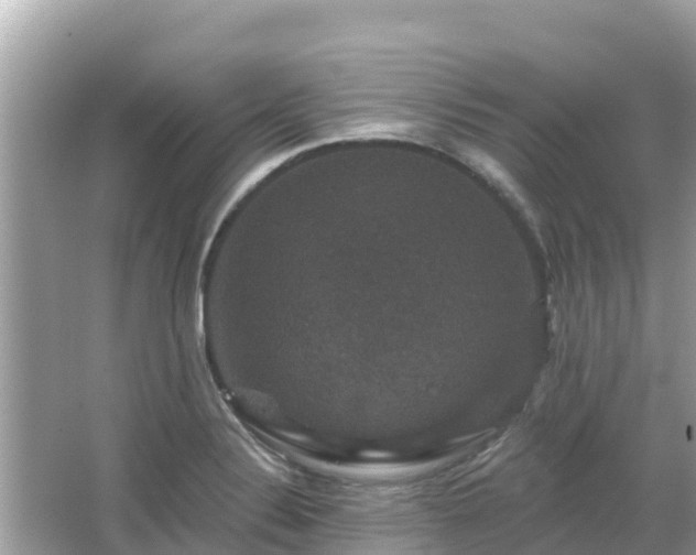 X0000066011324200603101546