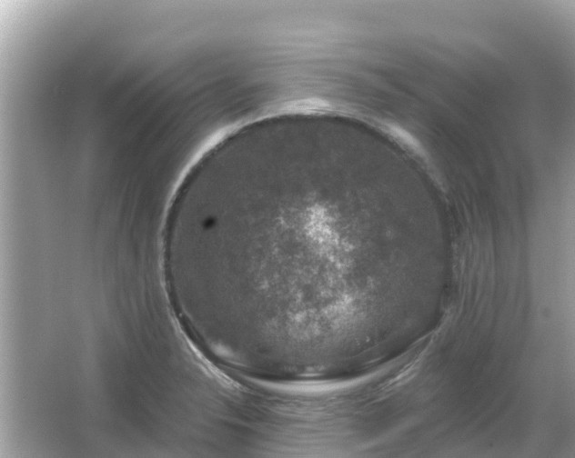 X0000066011326200603101546