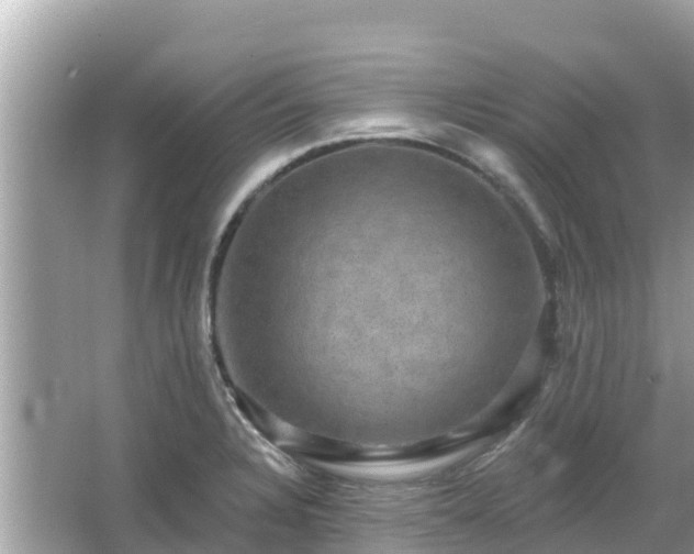 X0000066011328200603101546