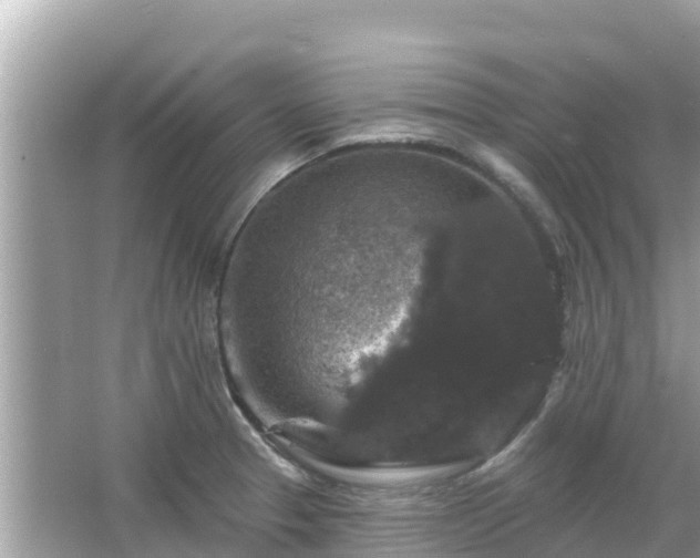 X0000066011329200603101546