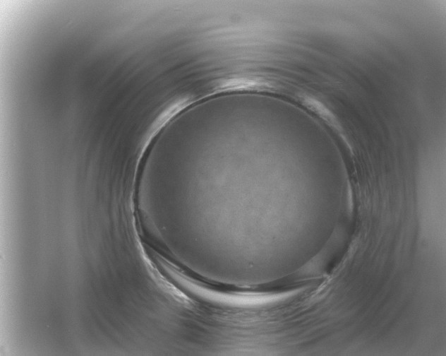 X0000066011330200603101546