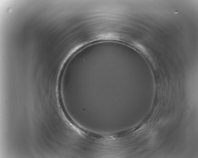 X0000066011331200603101546