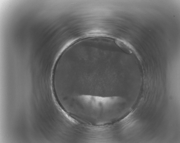 X0000066011333200603101546