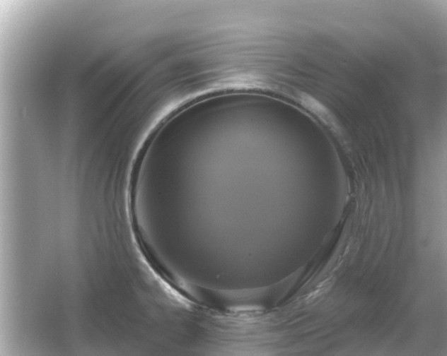 X0000066011334200603101547