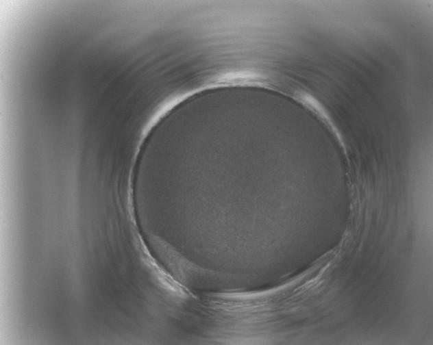 X0000066011336200603101547