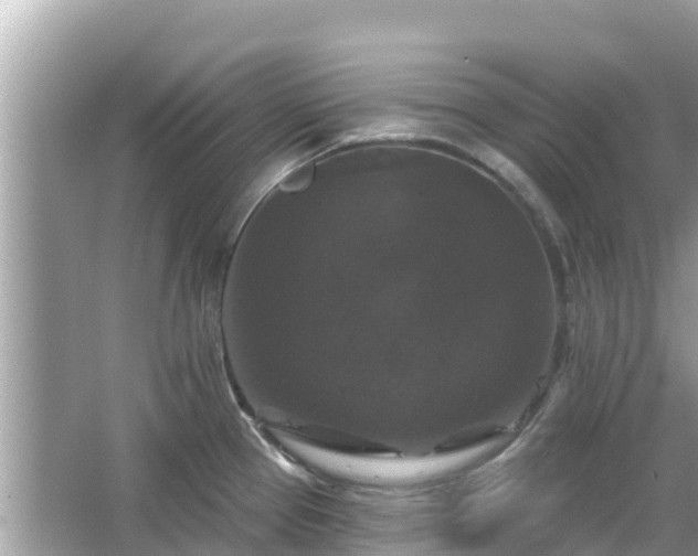 X0000066011337200603101547