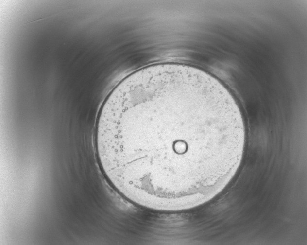 X0000066011338200603101547