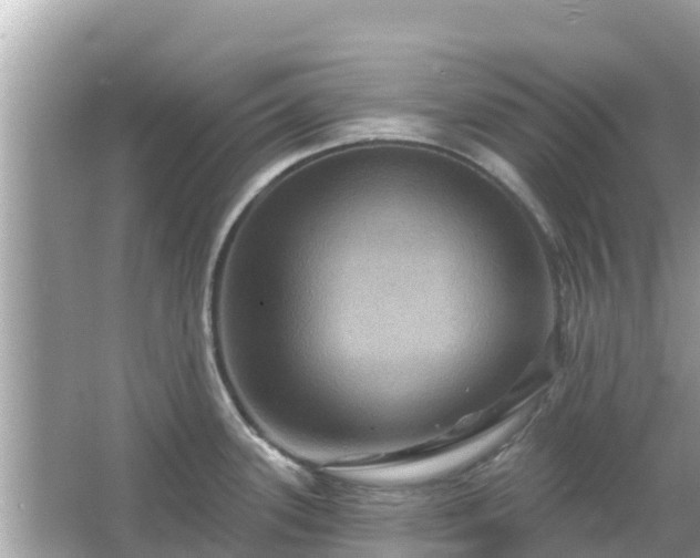 X0000066011339200603101547