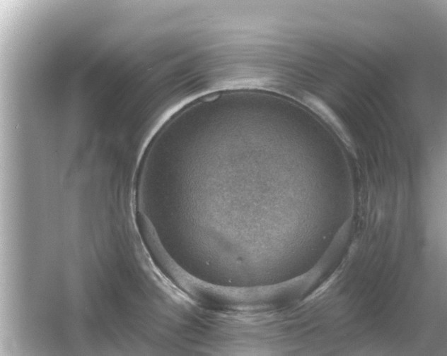 X0000066011340200603101547