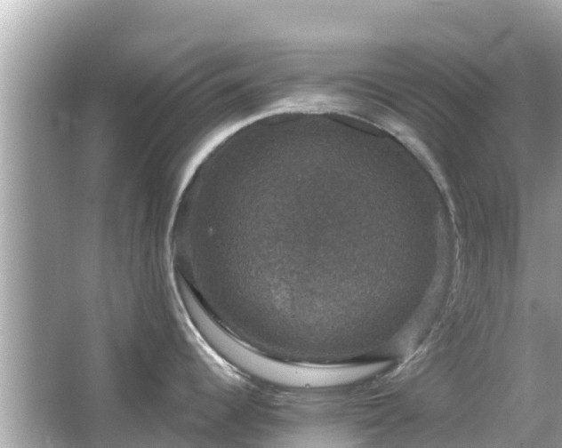 X0000066011344200603101547