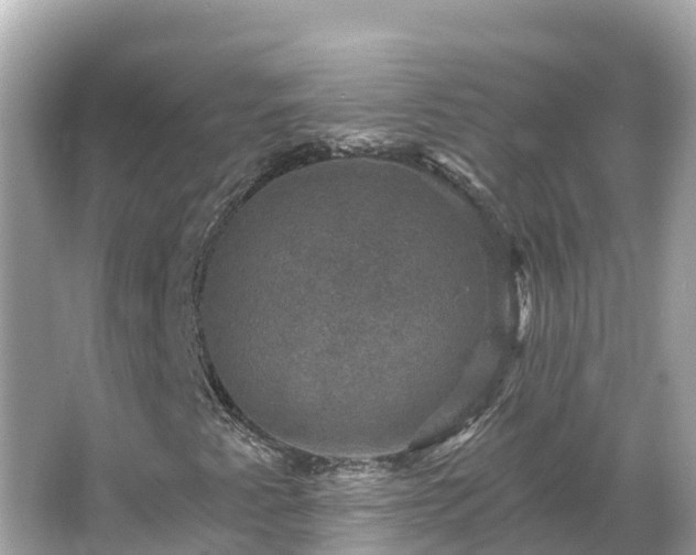 X0000066011345200603101546