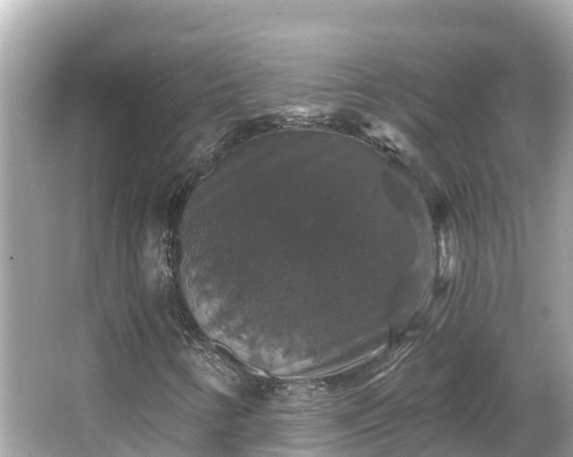 X0000066011346200603101546