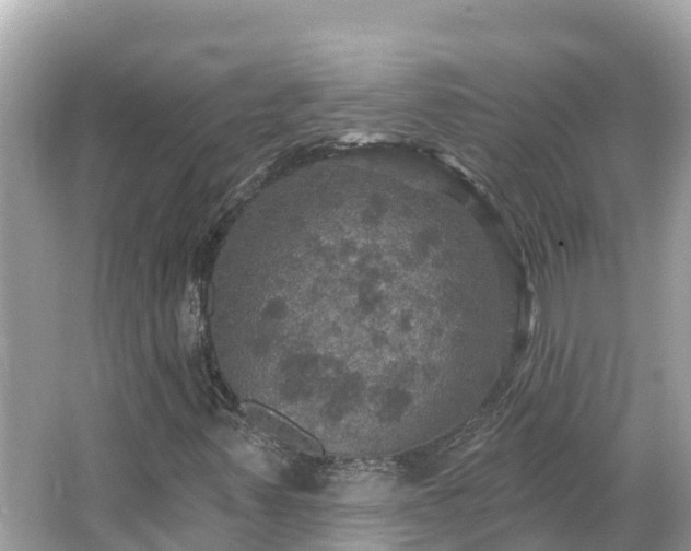 X0000066011347200603101546