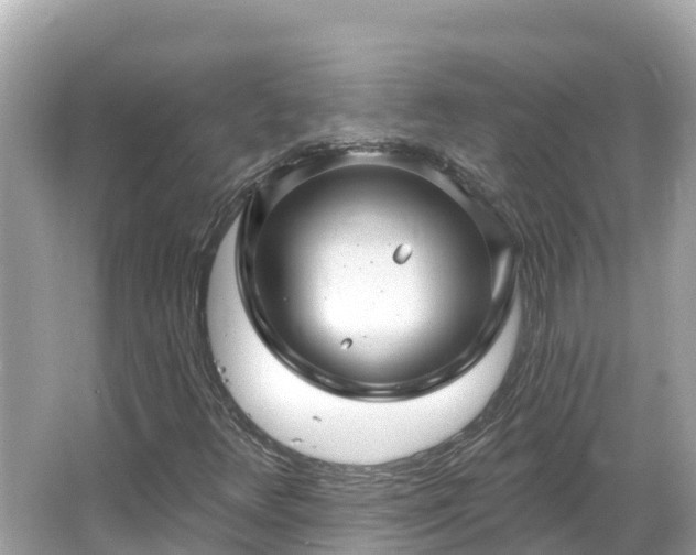 X0000066011348200603101546