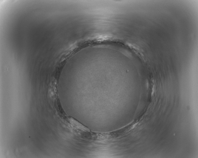 X0000066011349200603101546