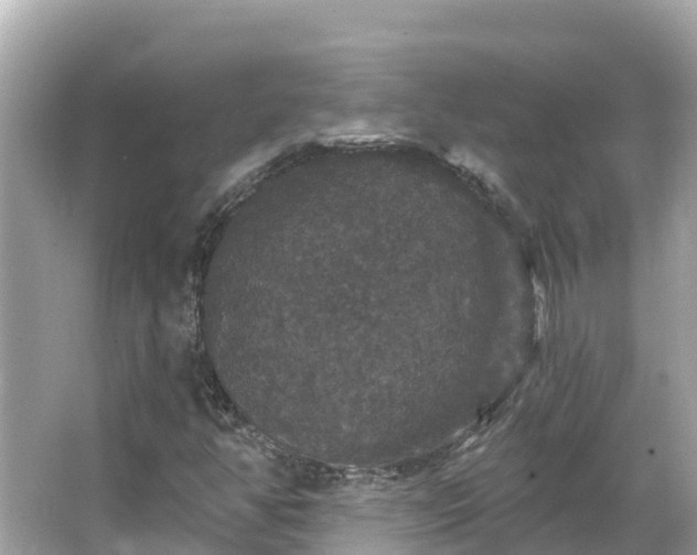 X0000066011350200603101546