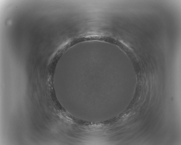 X0000066011351200603101546