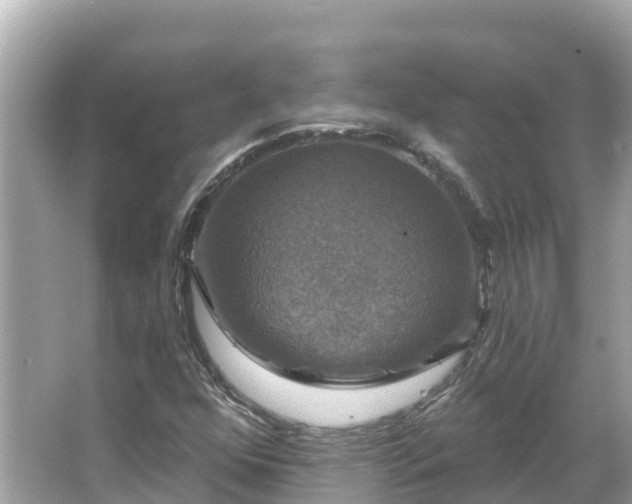 X0000066011352200603101546